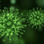 Cinco novos casos de vírus corona foram identificados na Irlanda