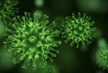 20 novos casos de corona vírus na Irlanda