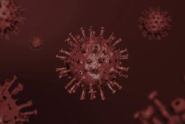 Coronavírus: confirmado número de novos casos na Irlanda